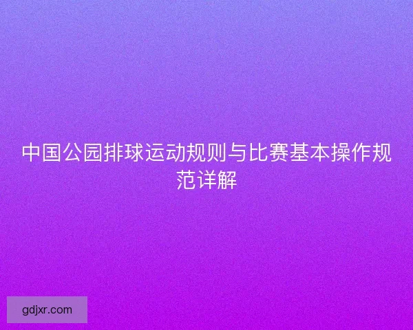 中国公园排球运动规则与比赛基本操作规范详解